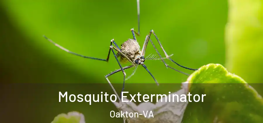  Mosquito Exterminator Oakton-VA