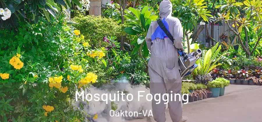  Mosquito Fogging Oakton-VA