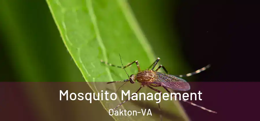  Mosquito Management Oakton-VA