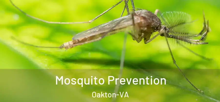  Mosquito Prevention Oakton-VA