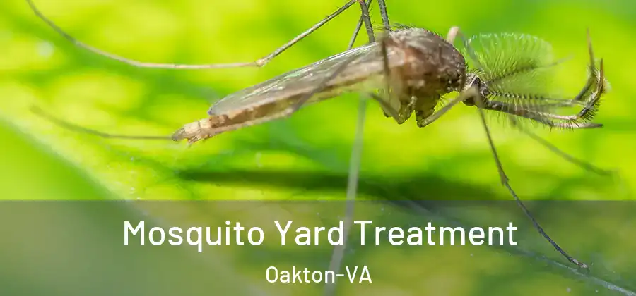  Mosquito Yard Treatment Oakton-VA