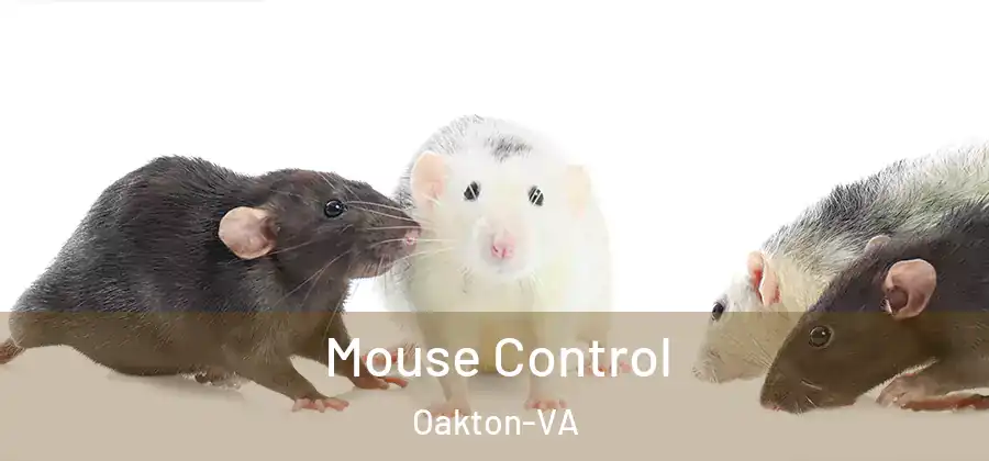  Mouse Control Oakton-VA