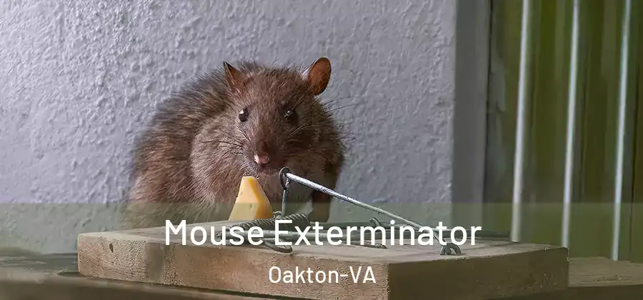 Mouse Exterminator Oakton-VA