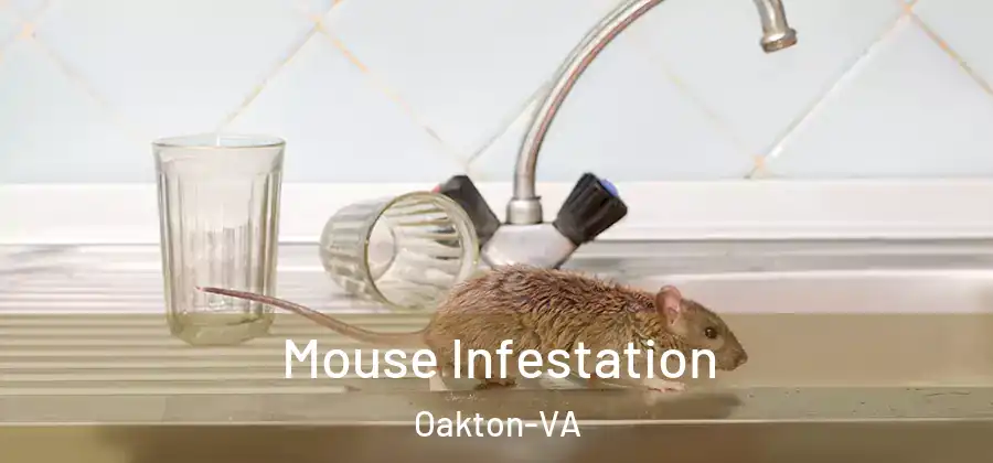  Mouse Infestation Oakton-VA