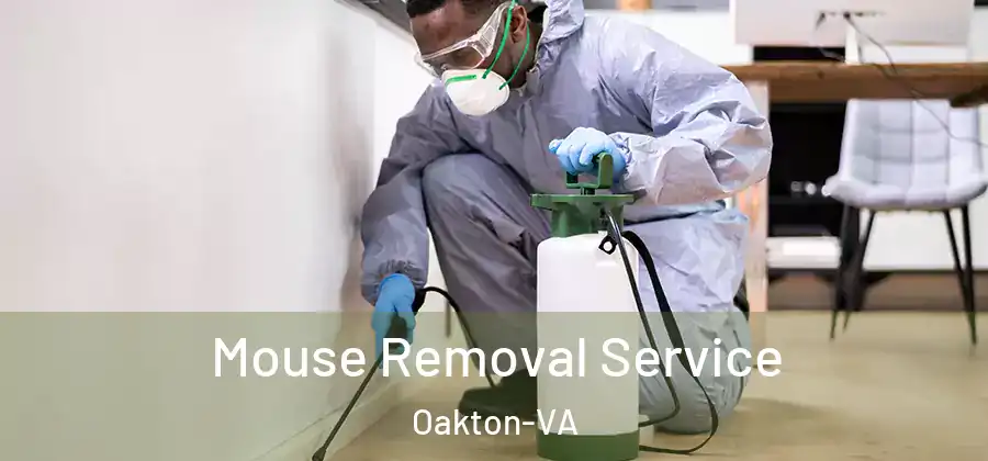  Mouse Removal Service Oakton-VA