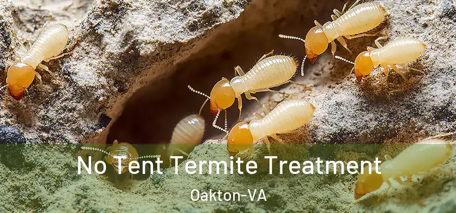  No Tent Termite Treatment Oakton-VA