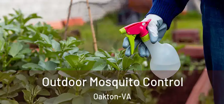  Outdoor Mosquito Control Oakton-VA