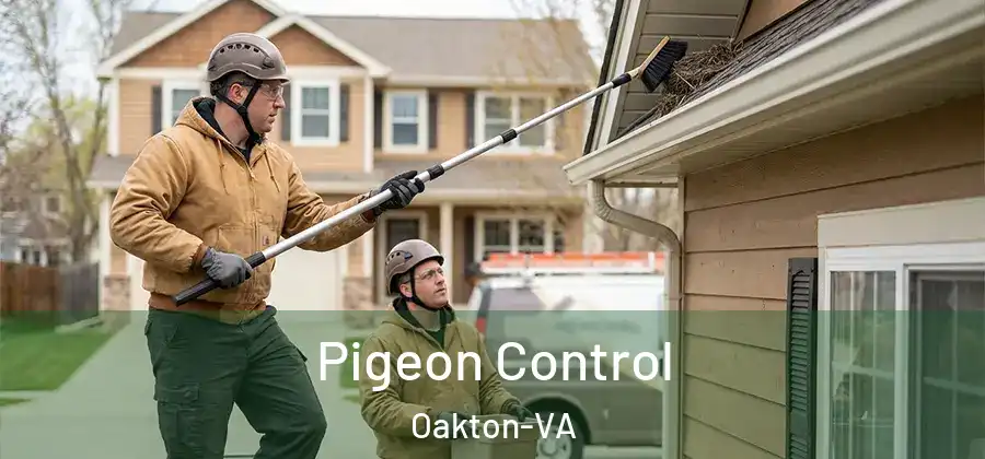  Pigeon Control Oakton-VA