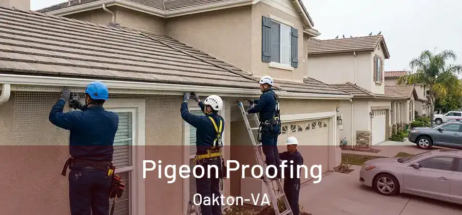  Pigeon Proofing Oakton-VA