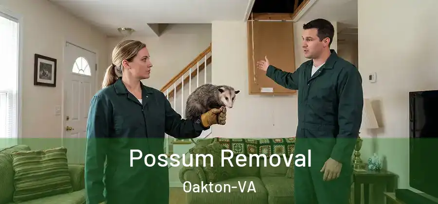  Possum Removal Oakton-VA