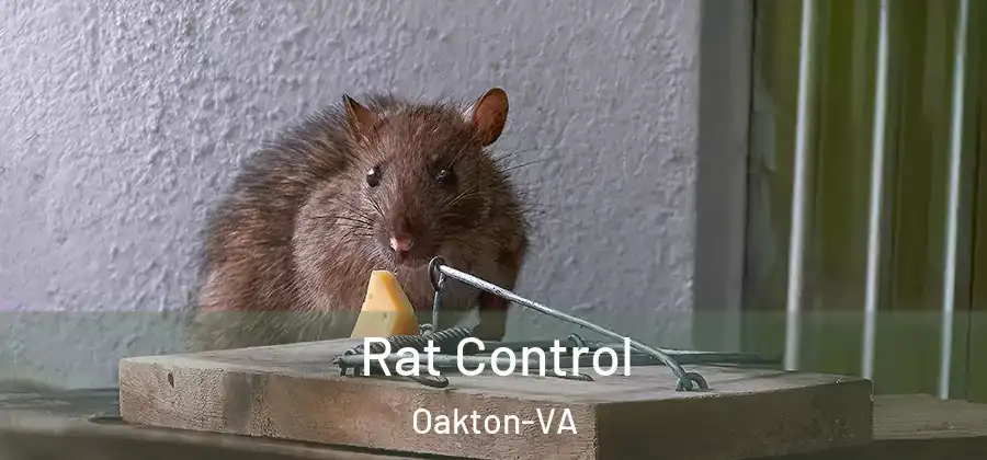  Rat Control Oakton-VA