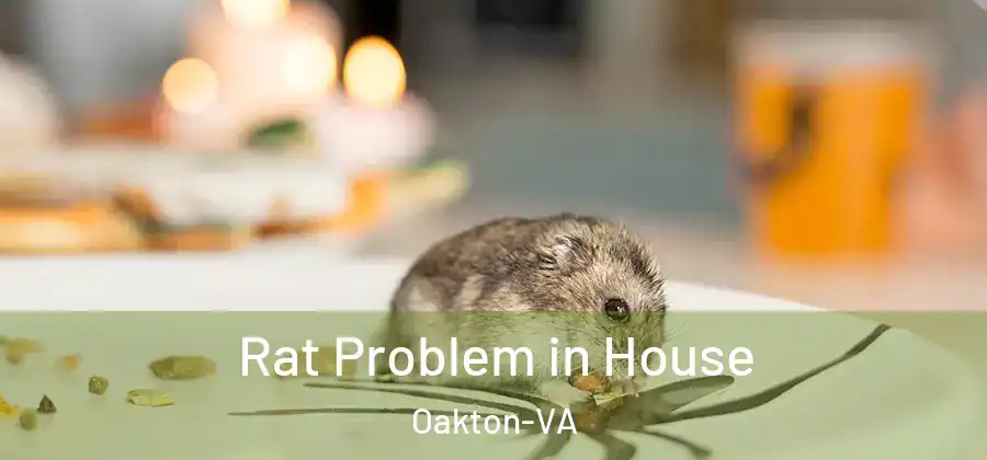  Rat Problem in House Oakton-VA