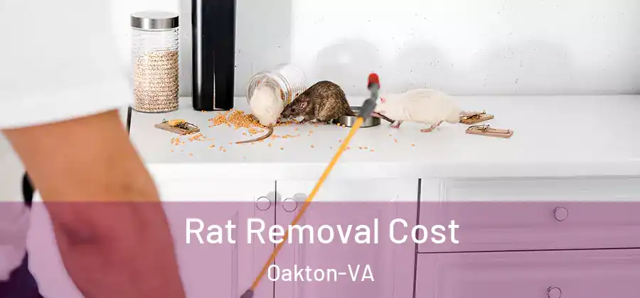  Rat Removal Cost Oakton-VA