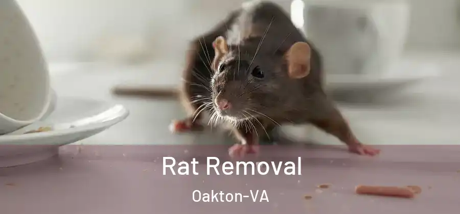  Rat Removal Oakton-VA