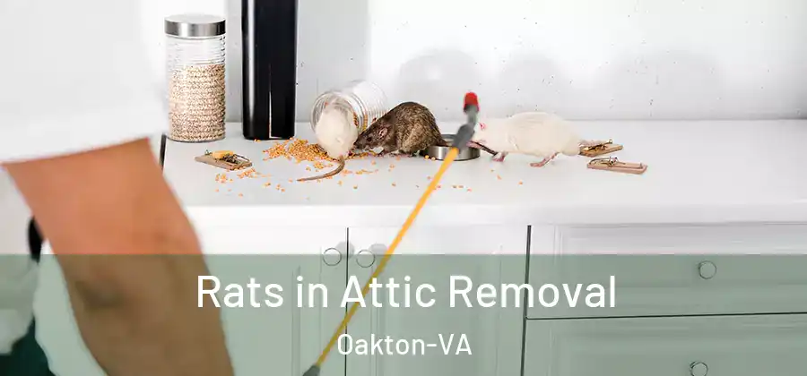  Rats in Attic Removal Oakton-VA