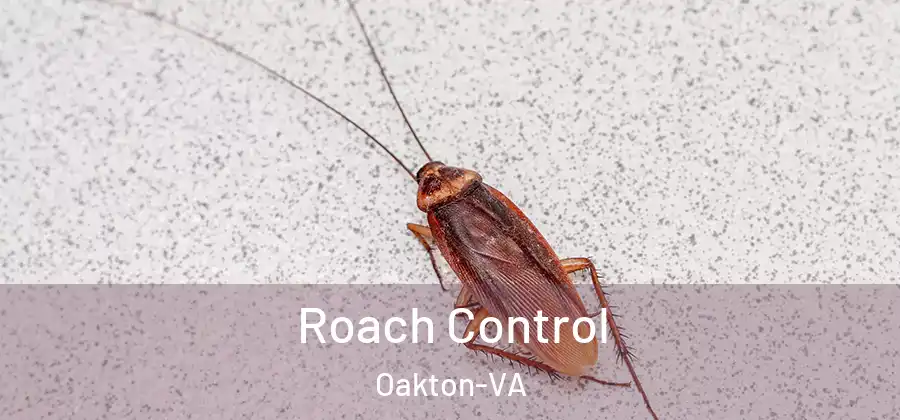  Roach Control Oakton-VA