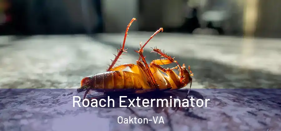  Roach Exterminator Oakton-VA