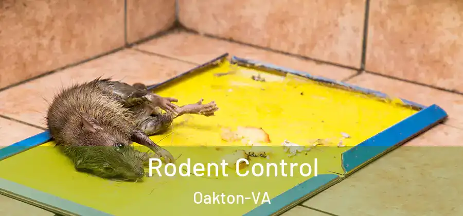  Rodent Control Oakton-VA