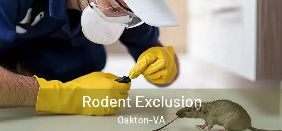  Rodent Exclusion Oakton-VA