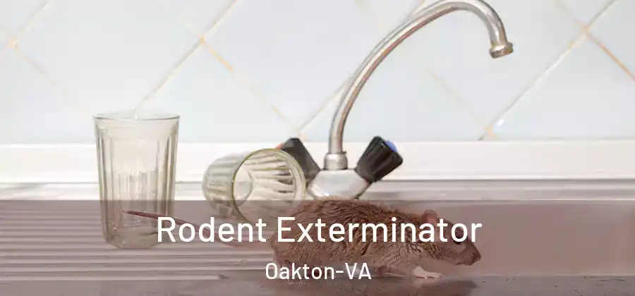  Rodent Exterminator Oakton-VA
