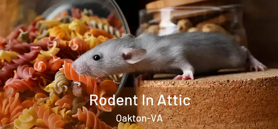  Rodent In Attic Oakton-VA