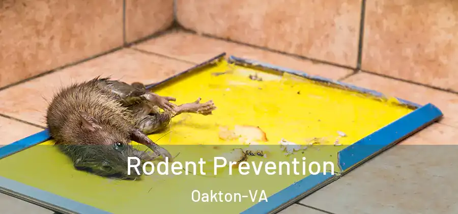  Rodent Prevention Oakton-VA