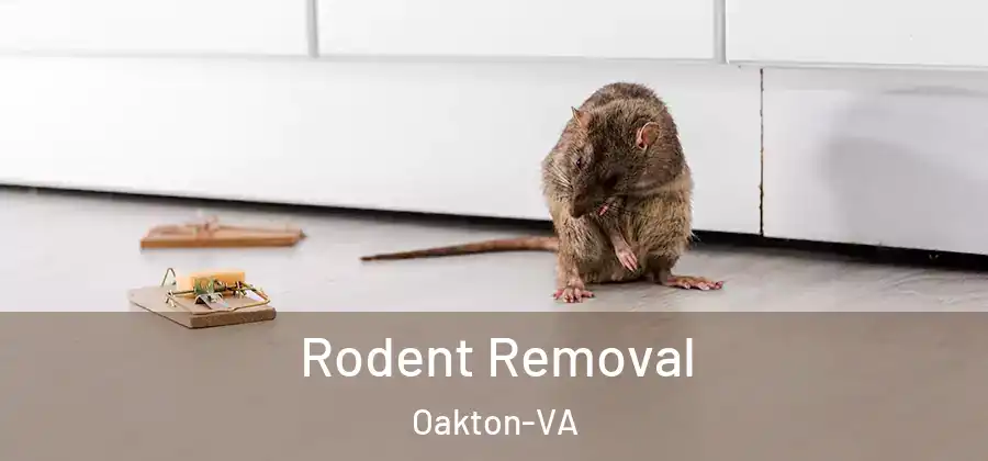  Rodent Removal Oakton-VA
