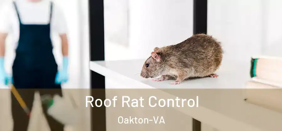  Roof Rat Control Oakton-VA