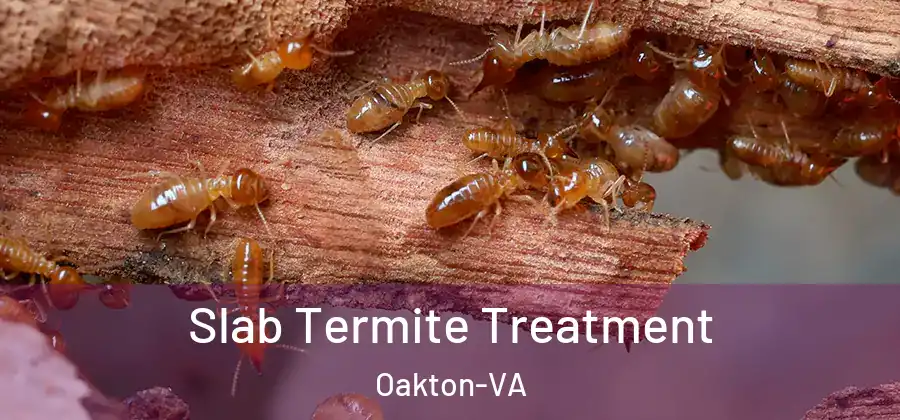  Slab Termite Treatment Oakton-VA