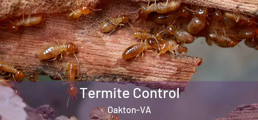 Termite Control Oakton-VA