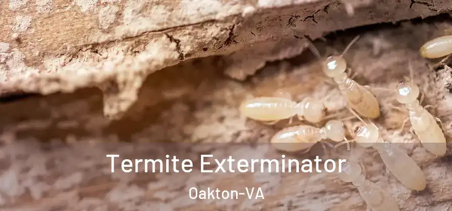  Termite Exterminator Oakton-VA