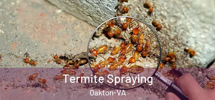  Termite Spraying Oakton-VA