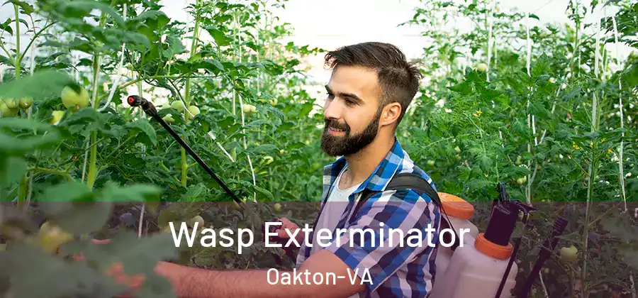  Wasp Exterminator Oakton-VA