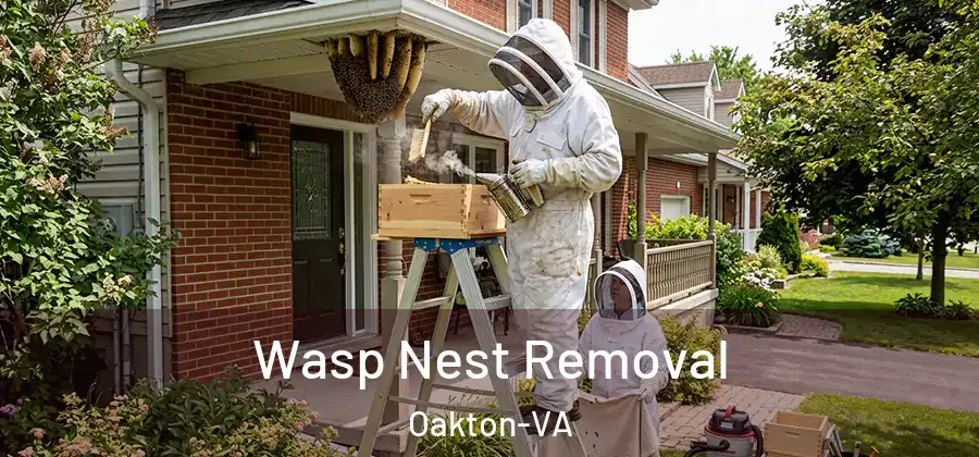  Wasp Nest Removal Oakton-VA