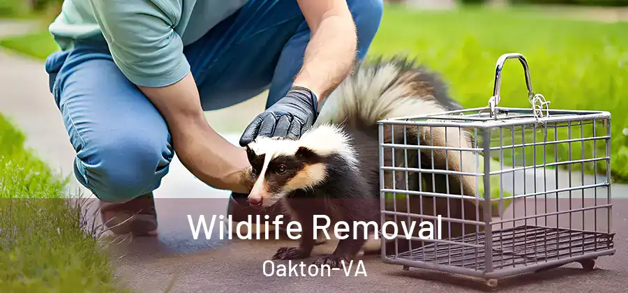  Wildlife Removal Oakton-VA